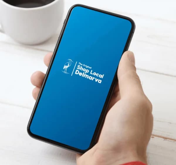 Businesses Registered