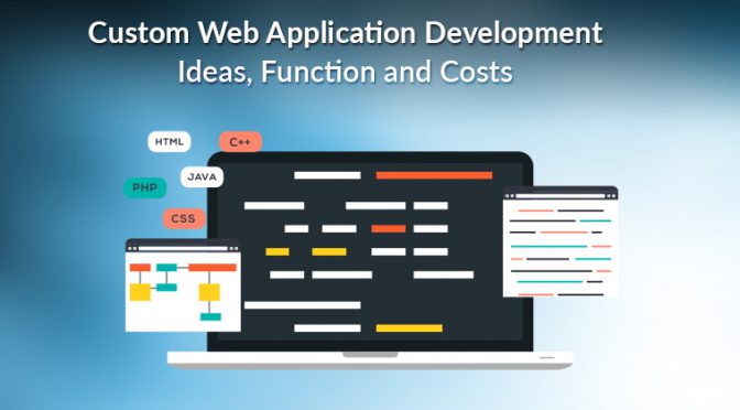 Custom Web Application Development Ideas, Function and Cost