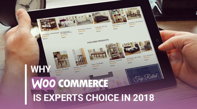 Why WooCommerce is Experts Choice in 2018