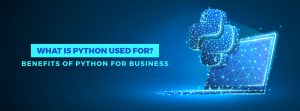 What is python used for? Benefits of Python for Business - AppVerticals