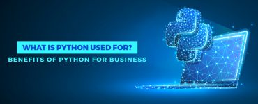 What is python used for