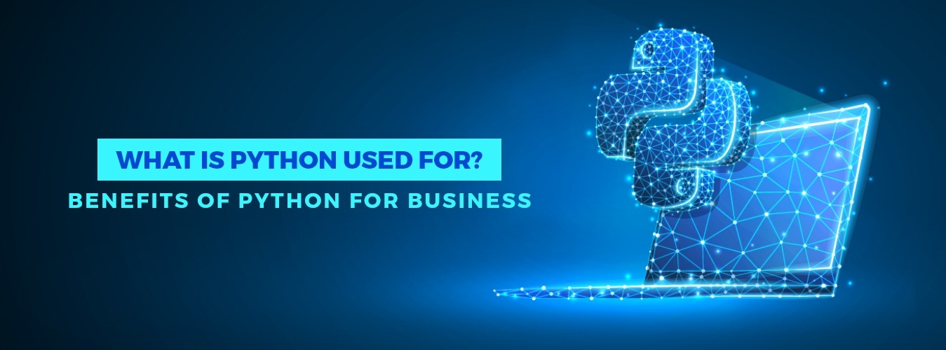 What is python used for? Benefits of Python for Business