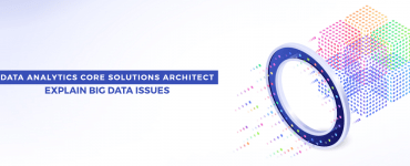 solutions architect