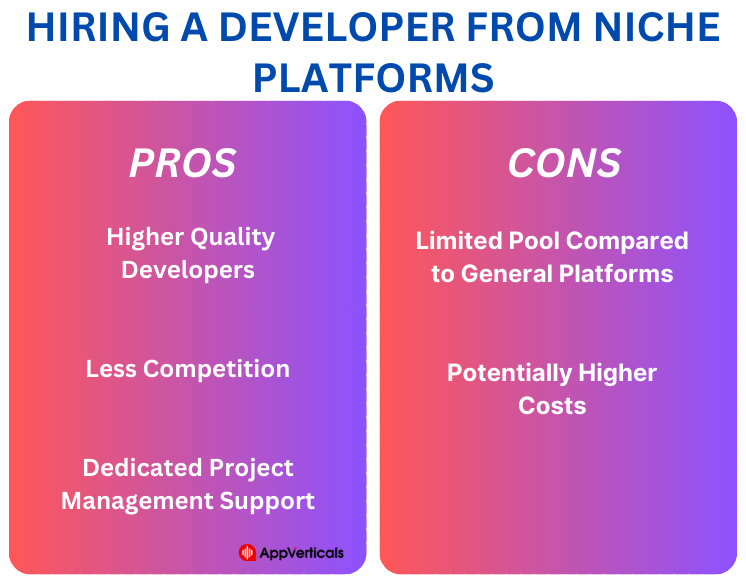 hire a web developer from niche platforms