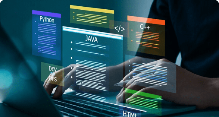 web portal development