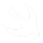 SwiftUI