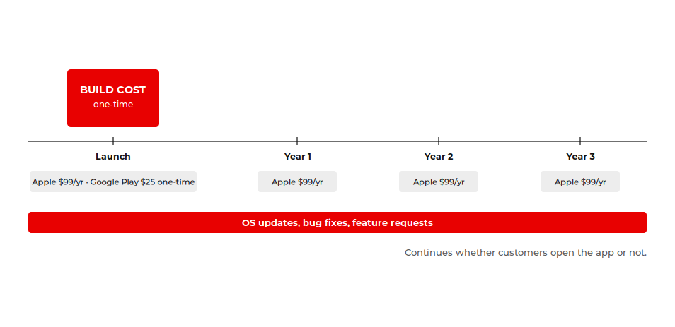 Mobile app ownership timeline: one-time build cost followed by yearly store fees and OS update work