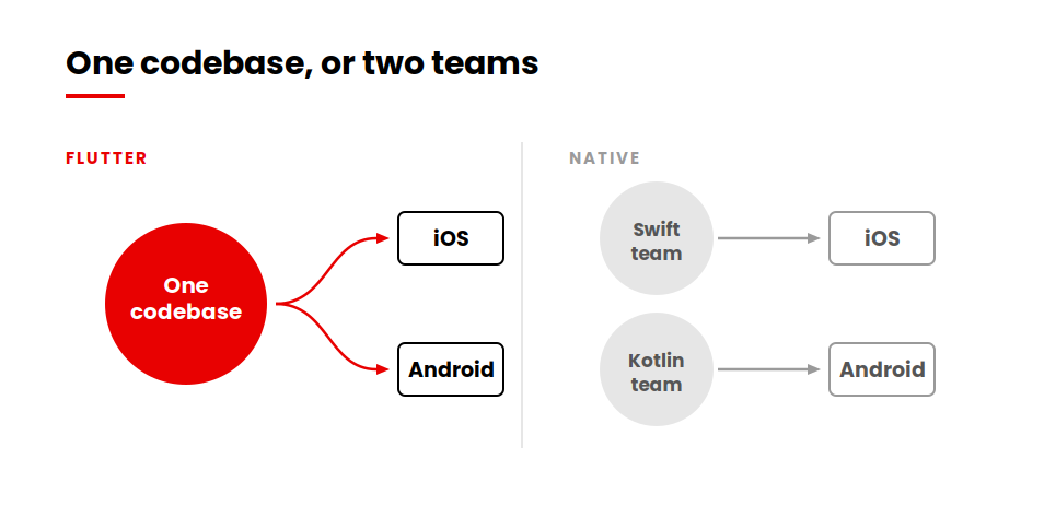 One Flutter codebase serving iOS and Android compared with two separate native teams